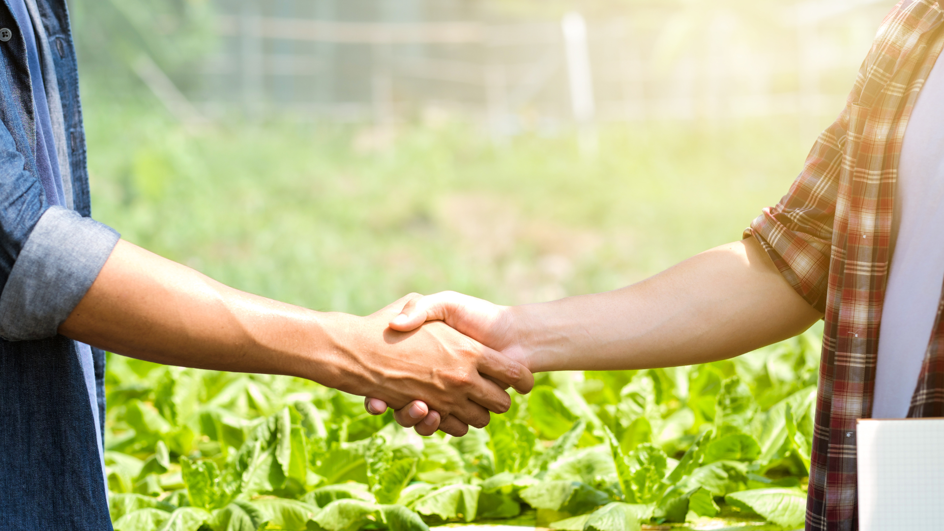 CapGreen Benefits